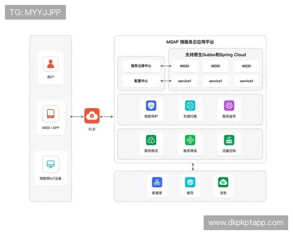 pock的多重含义与应用场景探索